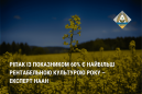 Ріпак із показником 60% є найбільш рентабельною культурою року ‒ експерт НААН Ріпак із показником 60% є найбільш рентабельною культурою року ‒ експерт НААН